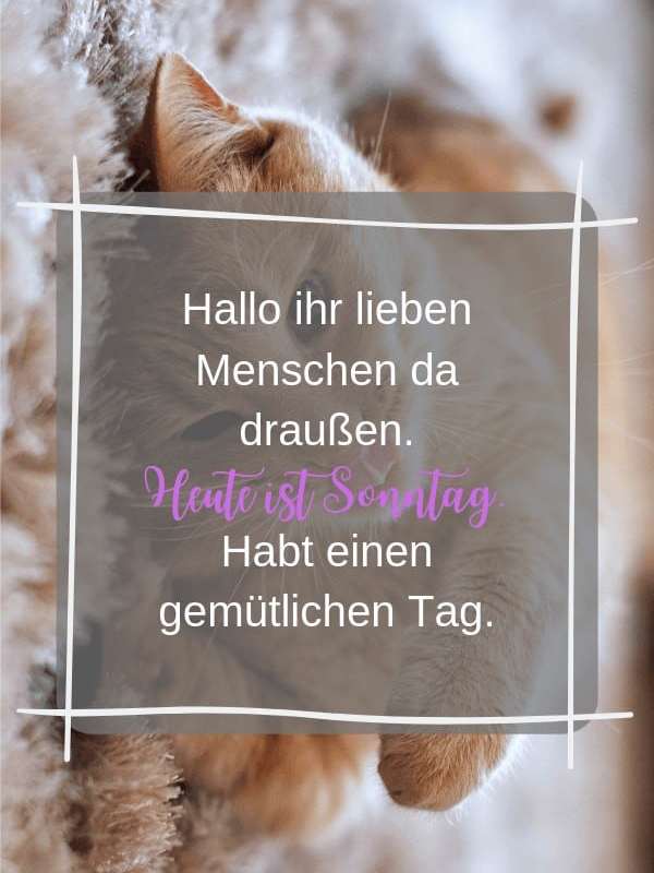 Hallo ihr lieben Menschen da draußen. Heute ist Sonntag. Habt einen gemütlichen Tag.