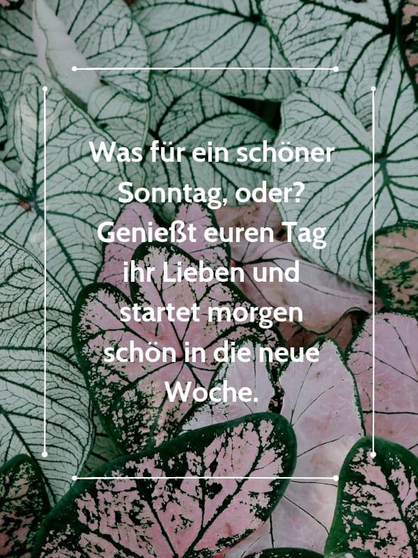 Was für ein schöner Sonntag, oder? Genießt euren Tag ihr Lieben und startet morgen schön in die neue Woche.