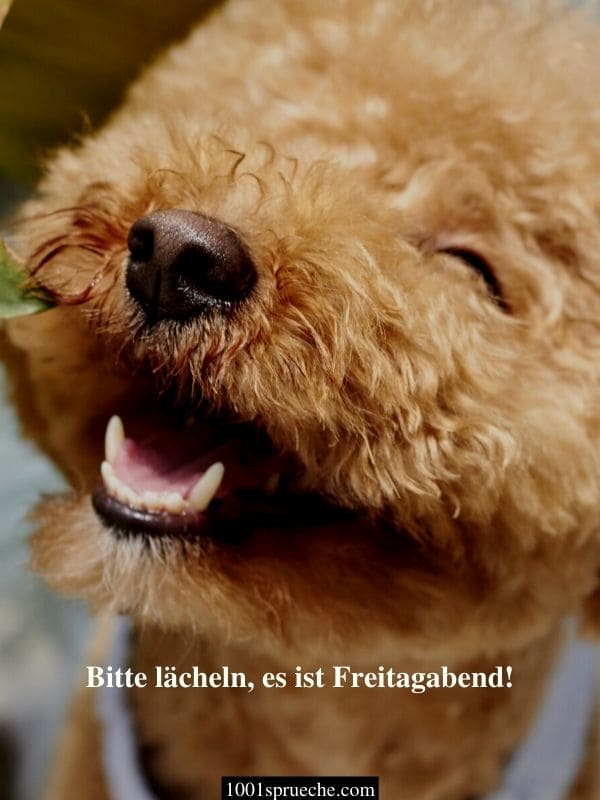 Schönen Freitagabend Bilder -Seite 2- Zum Verschicken &amp; Teilen