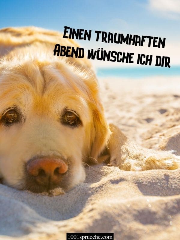 Schönen Montagabend Bilder -Seite 2- Ohne lange Suche